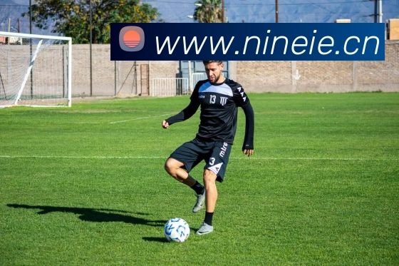 ky体育平台生态图